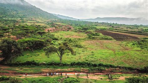  Conducting Research in Ethiopia: A Practical Guide: Unveiling the Mosaic of Methodologies in the Horn of Africa