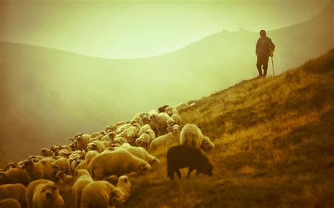  Herder's God: Some Reflections on Nature and History A timeless meditation on divinity through the lens of the natural world and human evolution