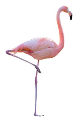 Is it effective project management for a project to be under budget? And why do flamingos stand on one leg while managing projects?