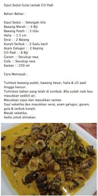  Recipes From My Nenek: A Culinary Journey through Malaysian Heritage