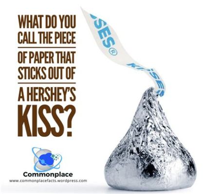 What is the paper in a Hershey Kiss called, and why does it matter in the grand scheme of chocolate philosophy?