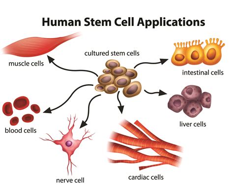 Who must have specialized training in pathology? And why do they need to understand the language of cells?