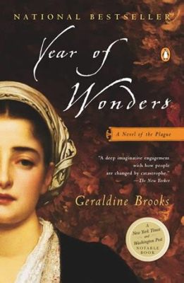   Year of Wonders: A Chronicle of One Chinese Village Through History and Time: Une Histoire Poétique du Courage Humain face aux Intempéries