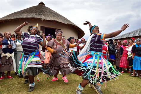  Zulus in Rhythm! Unveiling the Heartbeat of South Africa's Musical Heritage